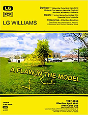 A Flaw In The Model by LG Williams