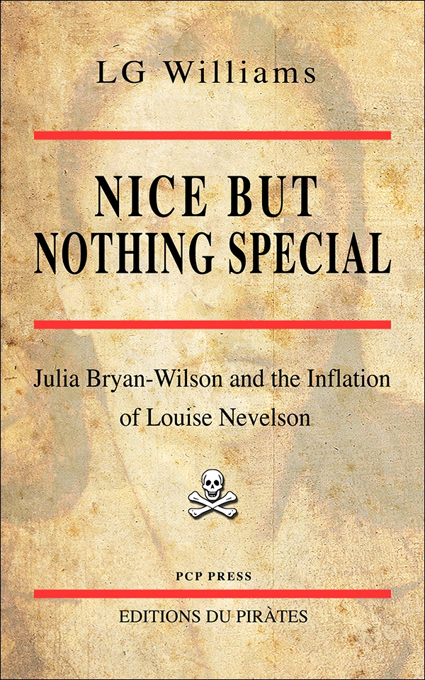 Book cover for Nice But Nothing Special